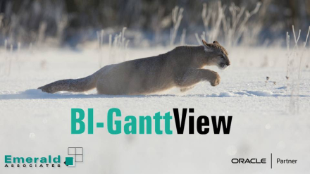 How to Build a Gantt Chart in Emerald's BI-GanttView